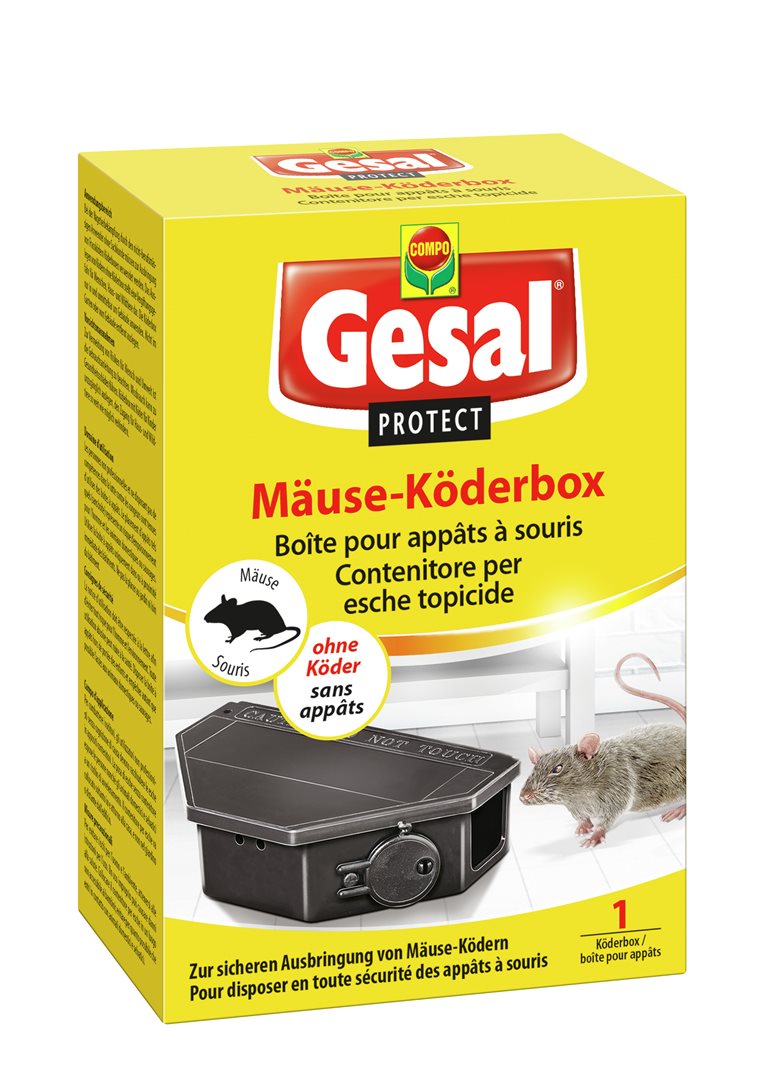 #Grösse_1 Stk