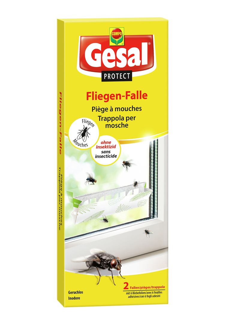 #Grösse_1 Stk