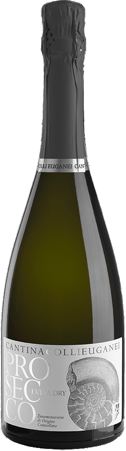 FOSSILI PROSECCO EXTRA DRY 75CL
